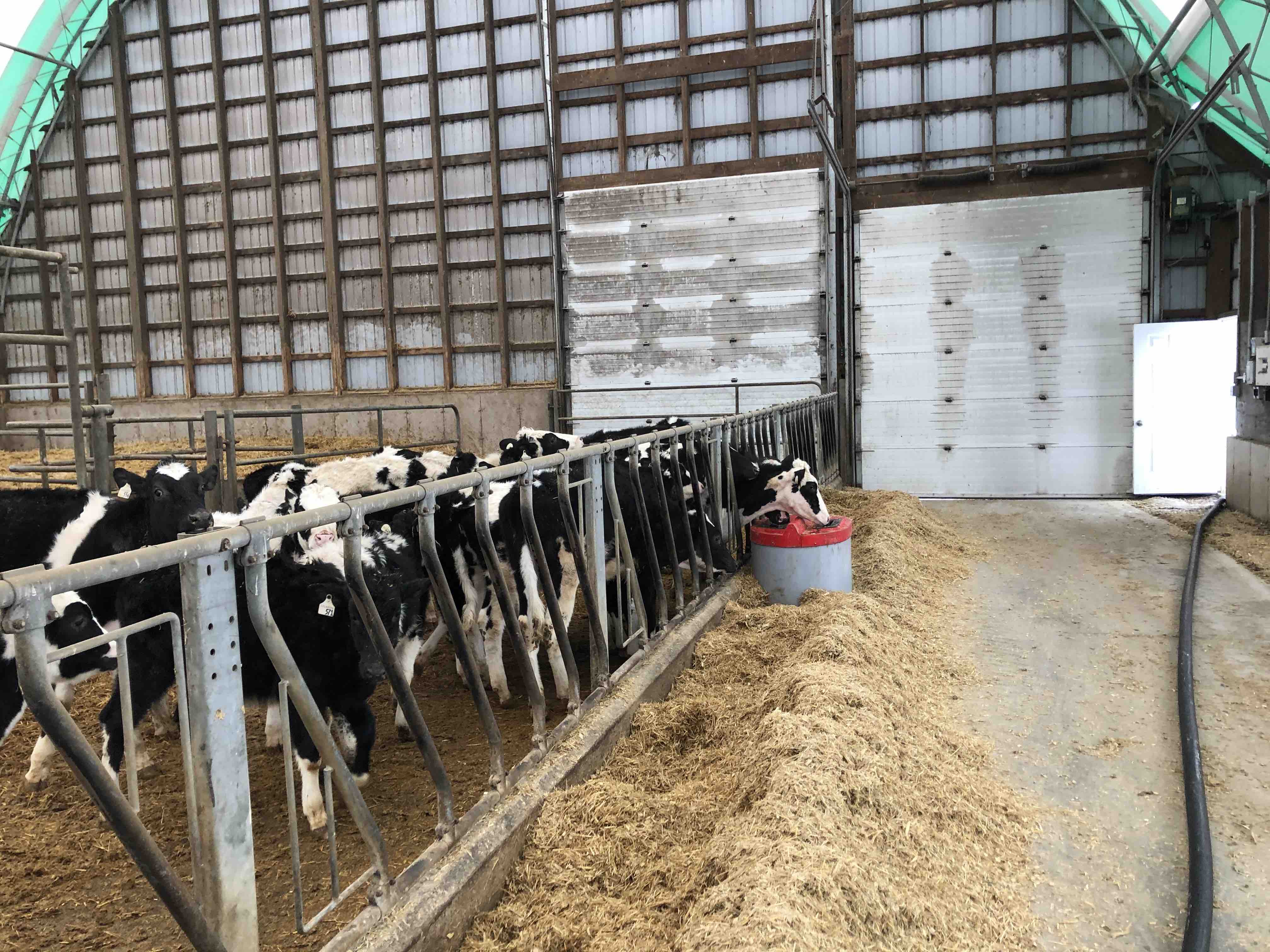 Lick Tanks Liquid Feeds Inc